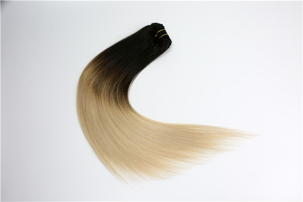 Emeda Clip In Human Hair Extensions Ombre Jf020 China Wholesale