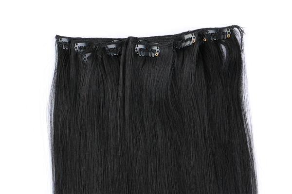 Clip in Human Hair Extensions 100g JF021